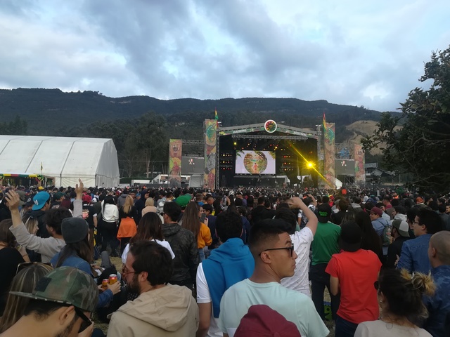 JAMMING FESTIVAL