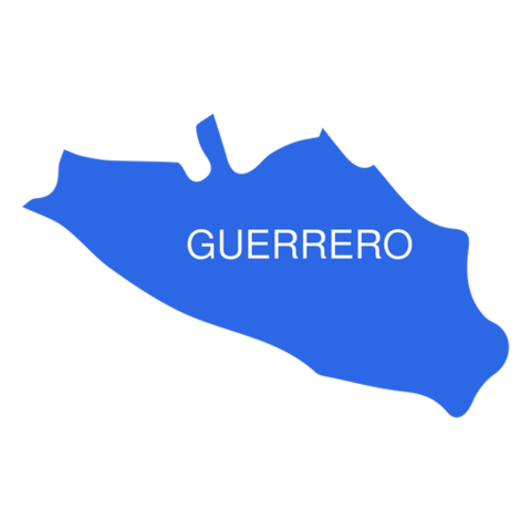Primer Estado en tipificar el Feminicidio como delito  "Guerrero"