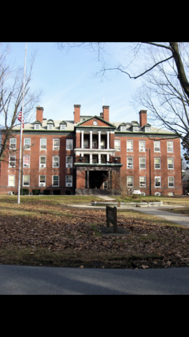 Dorothea goes back to work