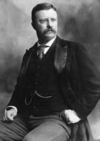 Theodore Roosevelt and Susan B. Anthony