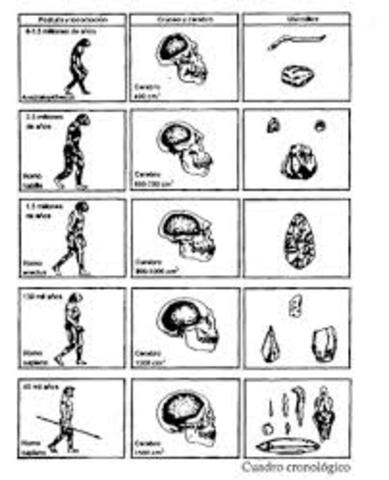 Guìa de la actividad