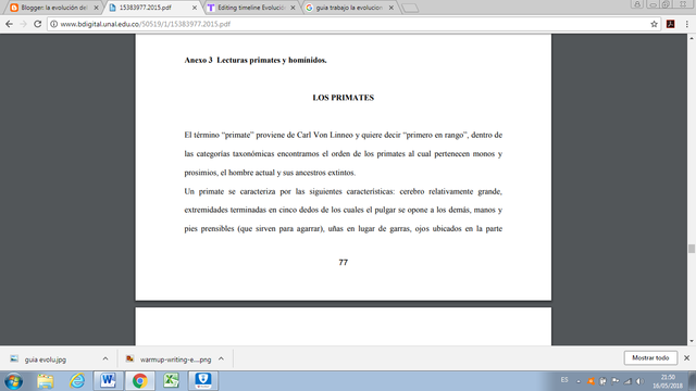 Actividad en parejas