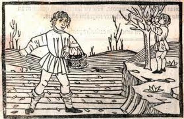 Fortalecimiento de la servidumbre