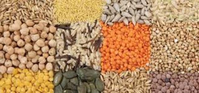 Increasing Food And Raw Materials