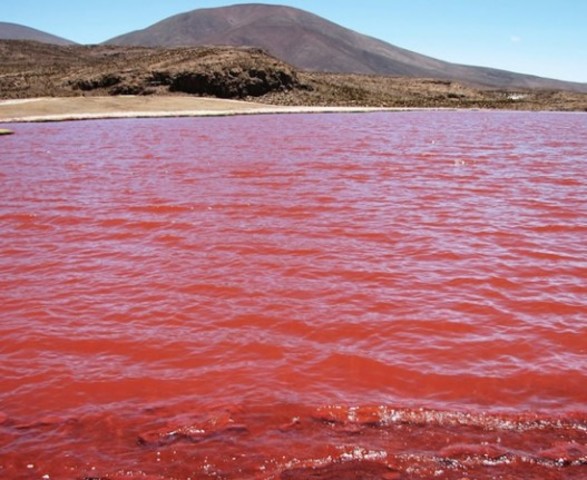 El paso del Mar rojo