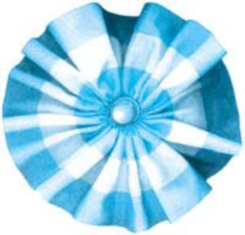 DIA DE LA ESCARAPELA