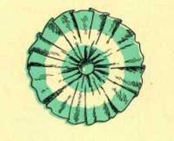 Dia de la Escarapela por el Consejo de Educacion