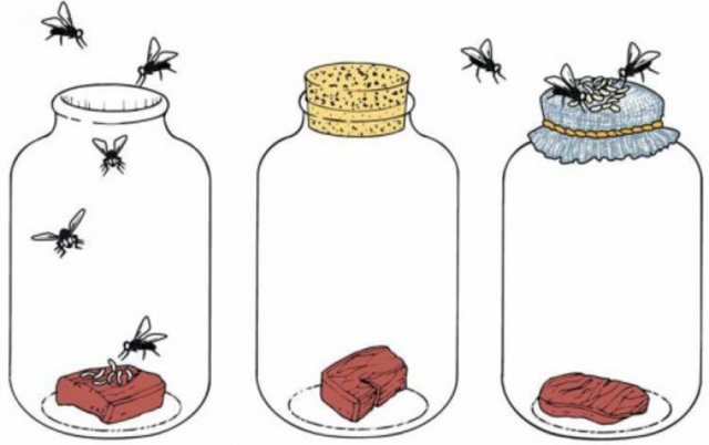 GENERACION ESPONTANEA