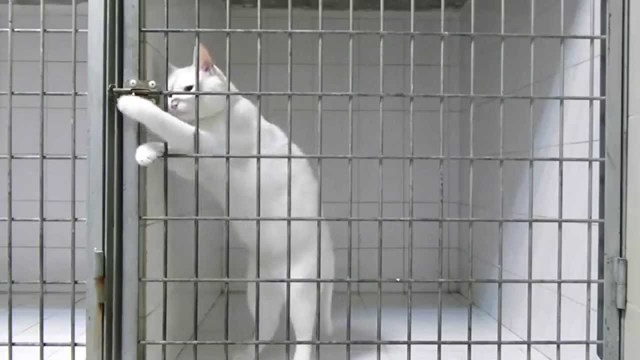 Aprendizaje por ensayo y error (incremental)