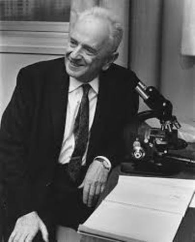 Theodosius Dozhansky (Neodarwinista)