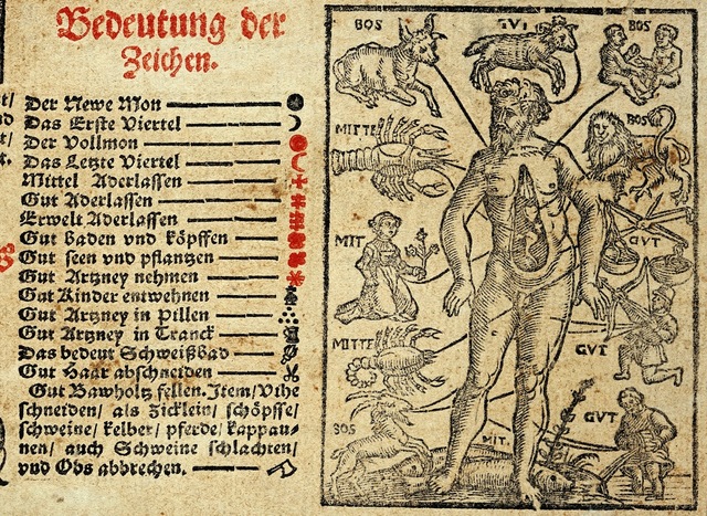 Metáforas corporales