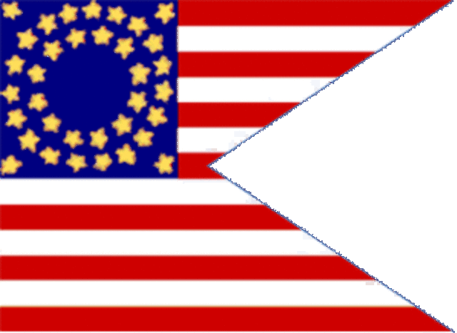 Flags for New Orleans