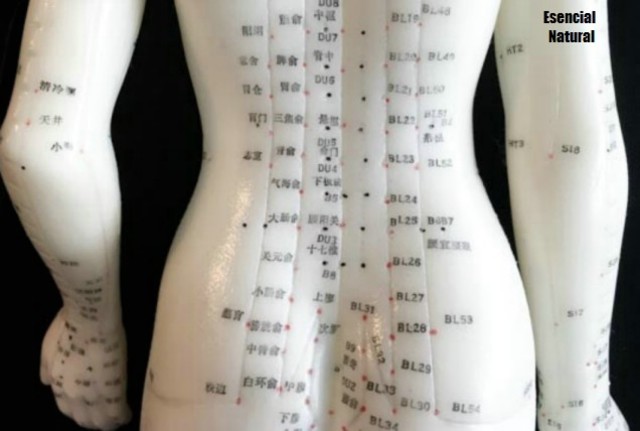 La OMS reconoció a la acupuntura como una técnica terapéutica