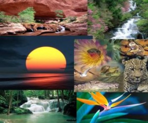 CONFERENCIA DE LAS NACIONES UNIDAS PARA EL MEDIO AMBIENTE