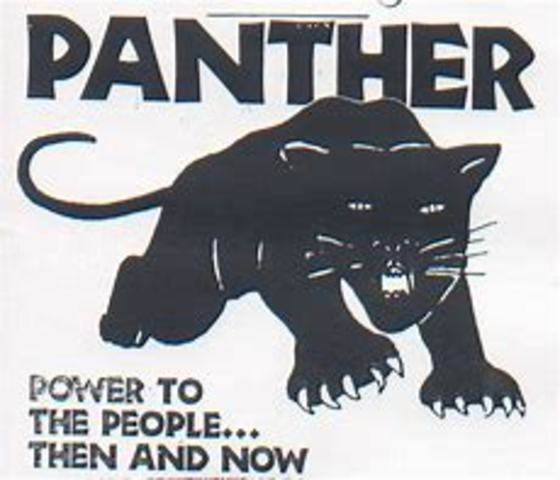The Black Panther Party