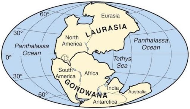 Creación de Laurasia y Gondwana