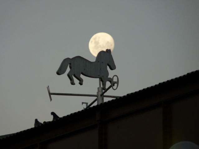 el barrio de caballito
