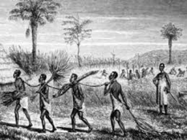 Esclavitud y Trata Negrera