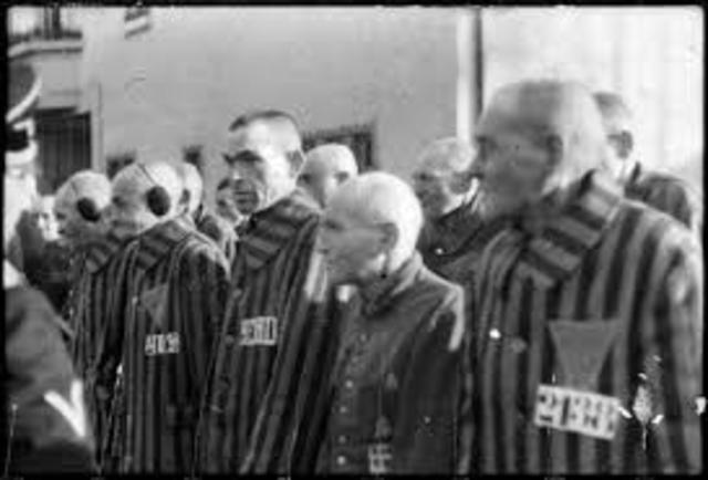 Concentration Camps Opening
