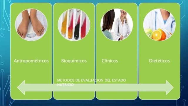 Datos importantes a recolectar