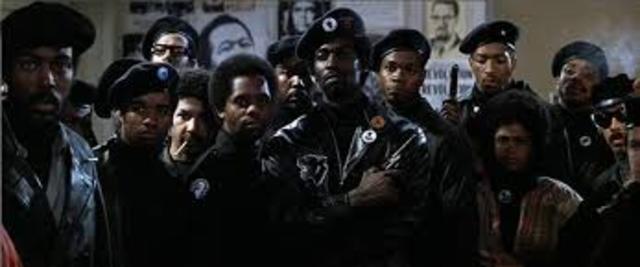 The Black Panther Party