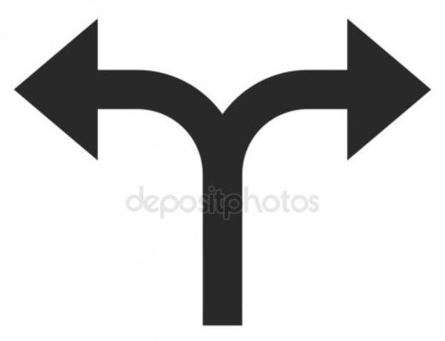 Donner Party Departs