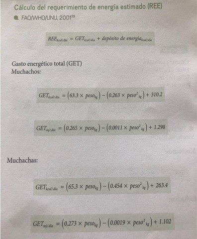 Ecuaciones de predicción del gasto energético total