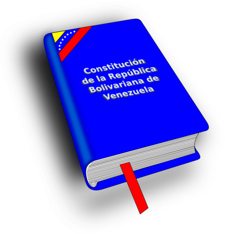 APORTES DE LA CONSTITUCIÓN DE 1999