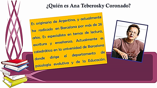 Escritura según Ana Teberosky