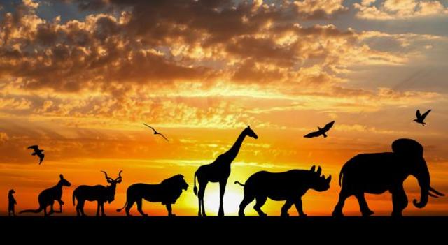 Defensores y detractores de Darwin