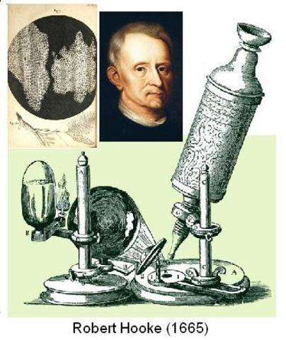 Robert Hooke