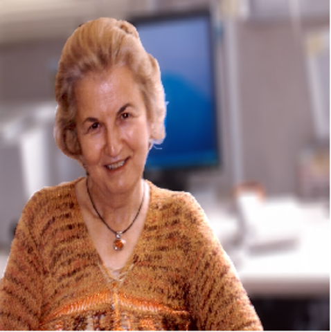 Gloria Pérez Serrano Doctora en Pedagogía por la Universidad Complutense de Madrid, 1978. Catedrática de Educación Cívica en la Universidad de Sevilla, 1994.