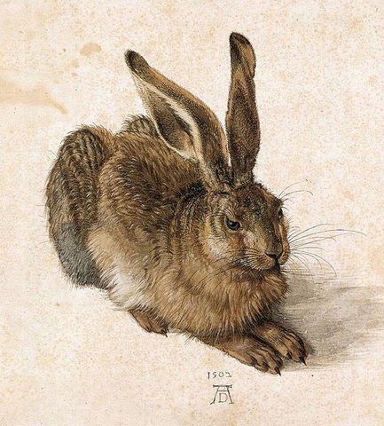Durer Creates the Painting Hare