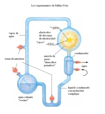 Experiment de Miller