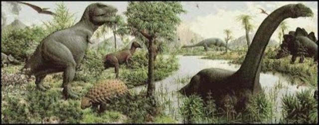 Mamíferos desarrollados