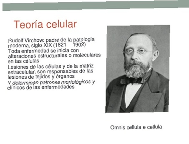 Rudolf Virchow