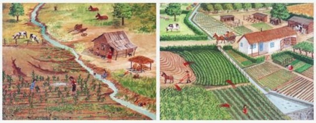 Desarrollo agropecuario