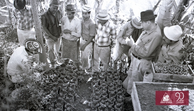 Expansión cafetera (1910-1930)