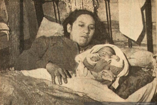 Nacimiento de Stephen Warshall