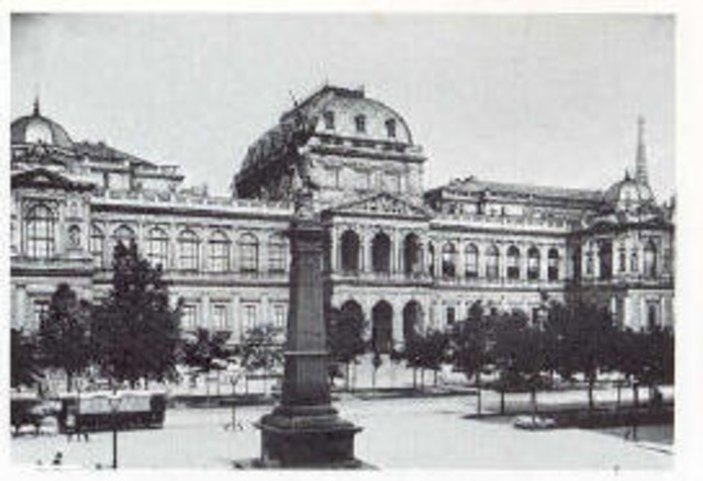 freud entra  a la universidad de viena