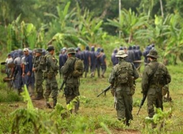 Narcotráfico Y Cultivos Ilícitos,