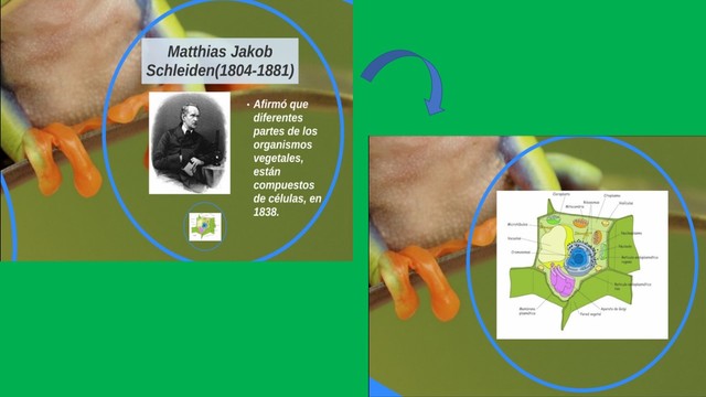 Matthias Jakob Schleiden