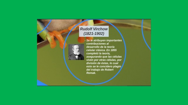 Teoria Celular Clásica