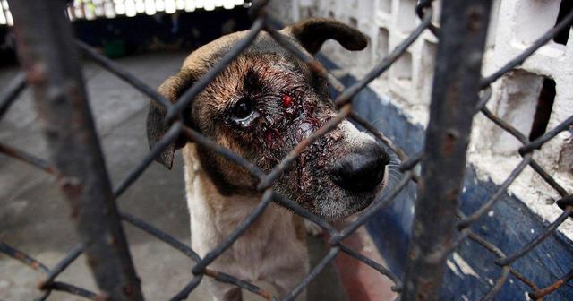 Gustavo Bernardo Rondón Fudinaga
