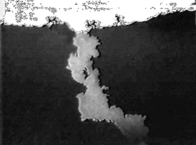 la tragedia delle foibe