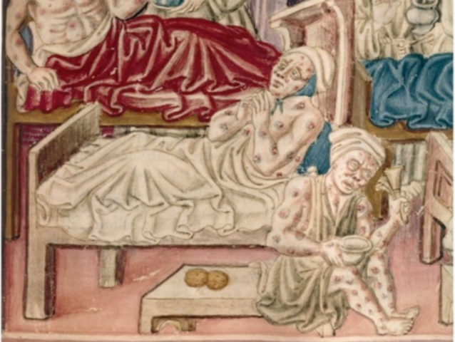 Black Death hits Europe