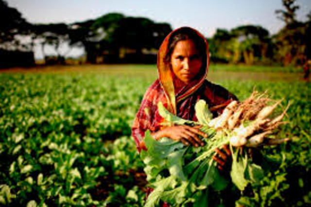 La mujer en la agricultura.