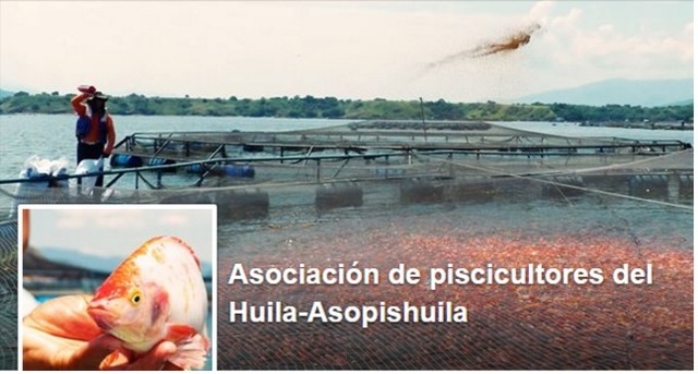 Pescadores artesanales e industriales hablan sobre fallo de la Corte