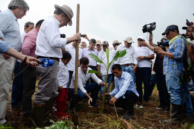 SUSTITUCIÓN DE CULTIVOS ILÍCITOS