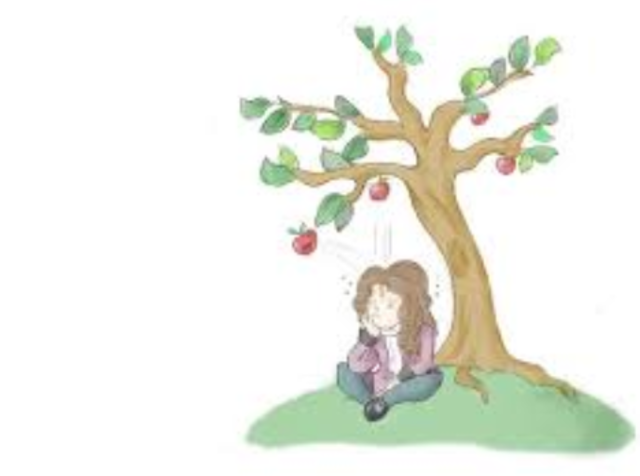 Newton Realizes Something